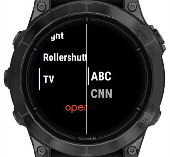 multi-option switch widget